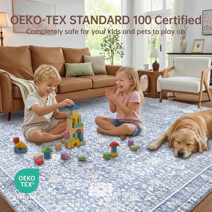 Sasttie 5x7 Area Rugs, Ultra-Soft Washable Rug, Low Pile Foldable Thin Carpets with Non-Slip Backing, Skin-Friendly Stain Resistant Carpet for Living Room, Bedroom, Kitchen, Dorm, 5x7, Light Blue