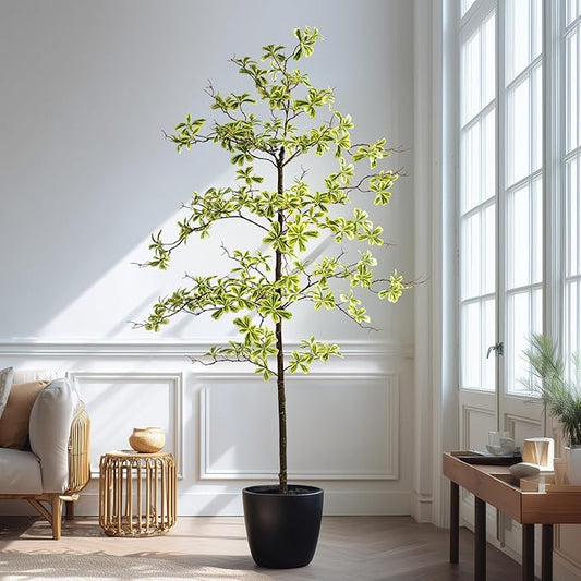 Erimda Faux Black Olive Tree 6ft, Faux Plants Indoor Large Tall Tree Artificial Shady Lady Tree with Natural Wood Trunk & Realistic Leaves, Fake Olive Plant for Home Office Indoor Decor