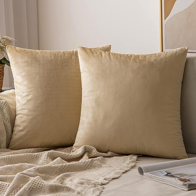 MIULEE Velvet Throw Pillow Covers 16x16 Inch, Pack of 2 - Beige, Soft Solid Decorative Pillow Covers Cushion Cases Modern Luxury Home Decor for Spring Couch Sofa Bedroom Livingroom