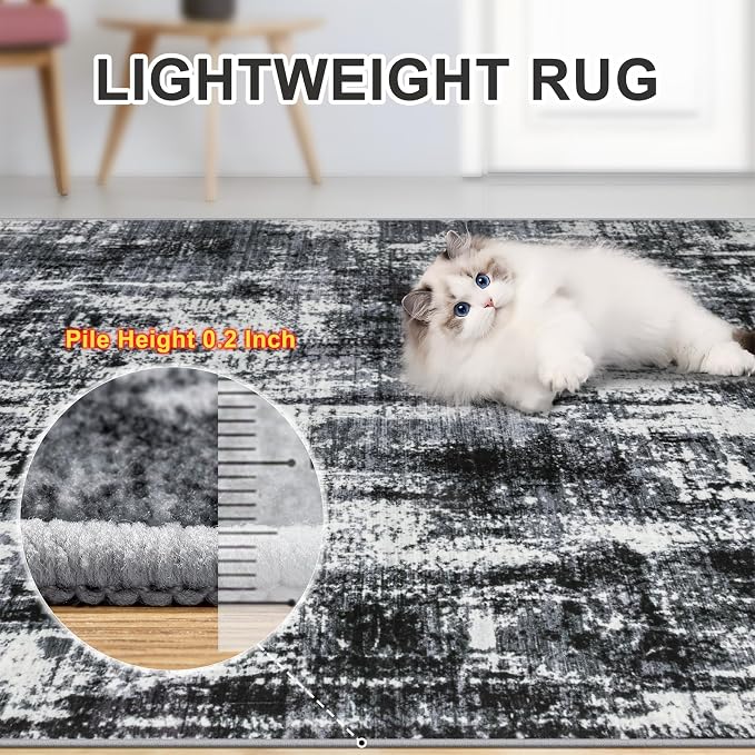 Area Rugs 9x12 Living Room - Washable Rug Modern Abstract Soft Large Neutral Non-Slip Carpet Indoor Floor Thin Carpets for Bedroom Dining Room Farmhouse Nursery Home Office Black