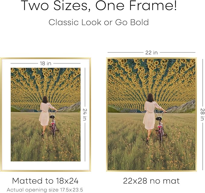 Homeforia 22x28 Picture Frame Gold, High End Metal 22 x 28 Large Poster Frames with Mat 18 by 24 for Photo, 22x28 Gold Frame Matted to 18x24 inch Print, 28x22 Frame, Tempered Glass, Wall Kit, Set of 3