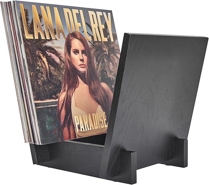 Honygebia Wooden Vinyl Record Holder - Black Solid Oak Wood Record Album Holder, V-Shaped Vinyl Record Storage Racks, Album Holders for Vinyl Records, Shelf for Storing Collection of 40 Premium LPs