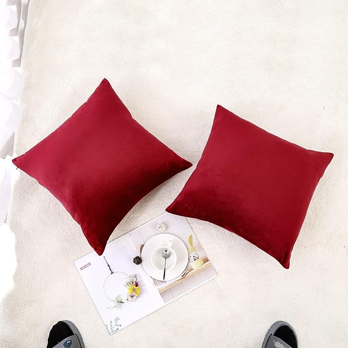 NiNi ALL Decorative Throw Pillow Covers Pack of 2, Velvet Throw Pillow Cases for Couch Pillows Cover Bedroom Living Room Outdoor, Pillow Covers 24x24 Inch Burgundy Red