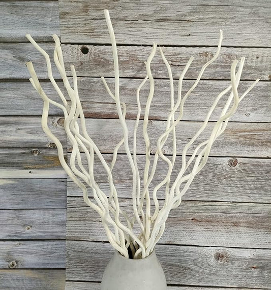 21-23 Inch Dried Natural Curly Willow Branch 15 Pcs Decorative Twisted White Sticks, 3 Pieces Mini Real Gourds for Home Decor