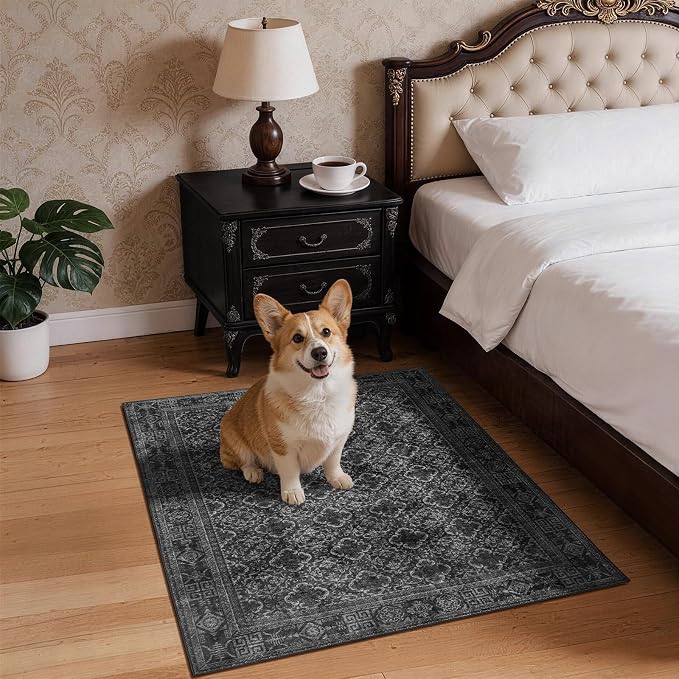 LIANLAM 2x3 Washable Area Rug, Vintage Boho Traditional Pattern, Non-Slip Stain Resistant Rug for Living Room Bedroom(2x3,Black/Boho)