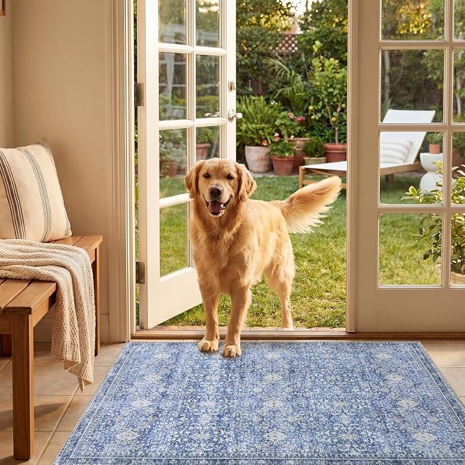 Sasttie 2x3 Rug, Ultra-Soft Washable Rug, Low Pile Foldable Thin Carpets with Non-Slip Backing, Skin-Friendly Stain Resistant Carpet for Living Room, Bedroom, Kitchen, Dorm, 2x3, Blue