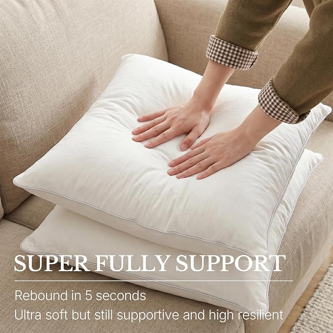 Leeden 24x24 Pillow Inserts Set of 2 - Decorative 24 Inch Throw Pillow Insert, Soft Fluffy Square Throw Pillows for Couch Bed, Beige Couch Pillow Insert Pair