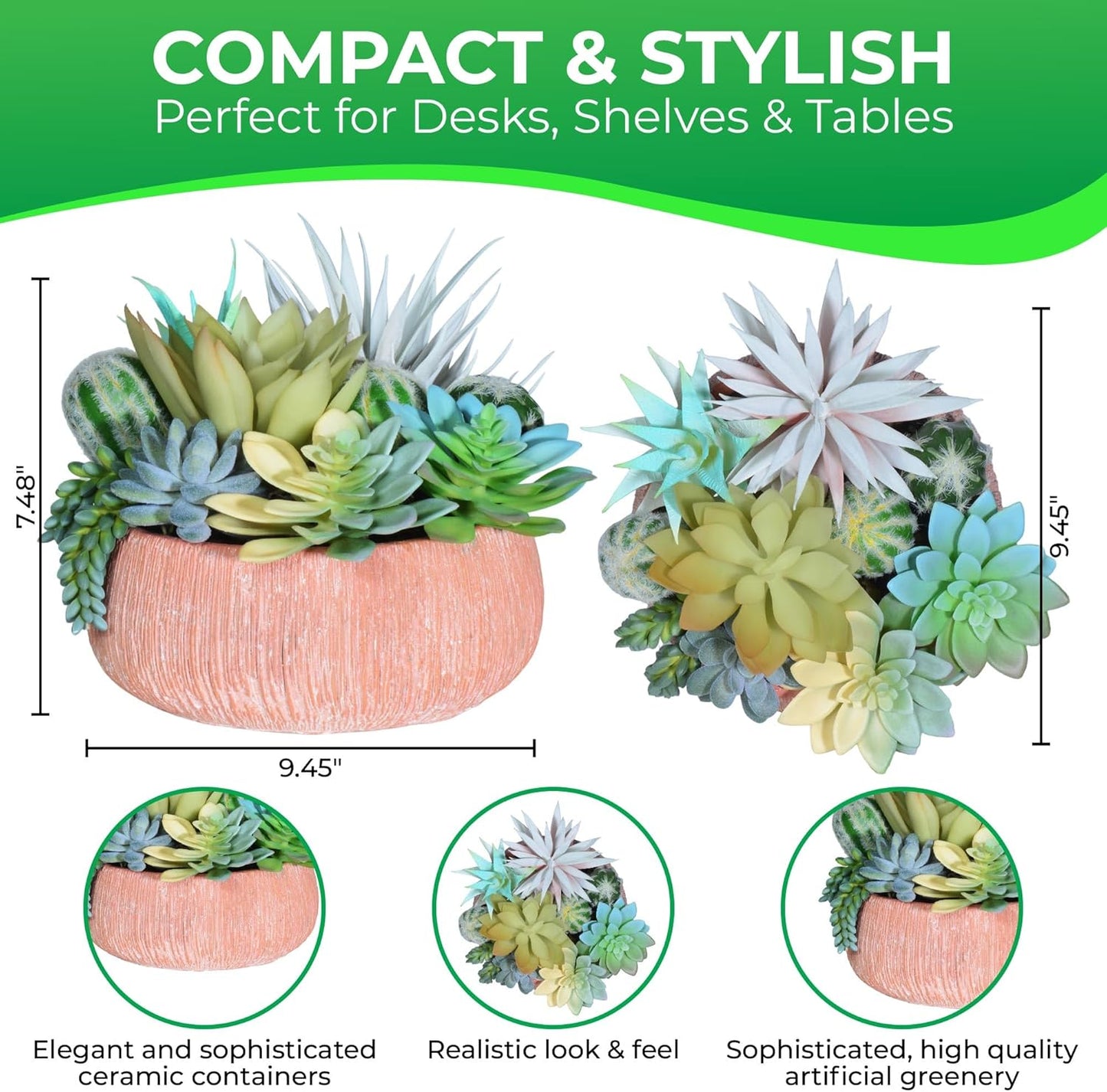 Premium Assorted Artificial Succulent Collection - Large Real Touch Artificial Cactus, Aloe Vera & Succulent Plants Artificial with Pots for Home Office Indoor (Artificial Coconut Shell - Pot)