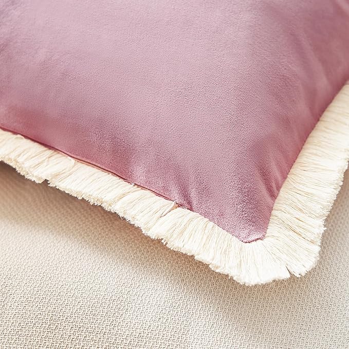 MONDAY MOOSE Decorative Throw Pillow Covers Cushion Cases, Set of 2 Soft Velvet Modern Fringe Tassel Designs, Mix and Match for Home Decor, Pillow Inserts Not Included (20x20 inch, Dusty Pink)
