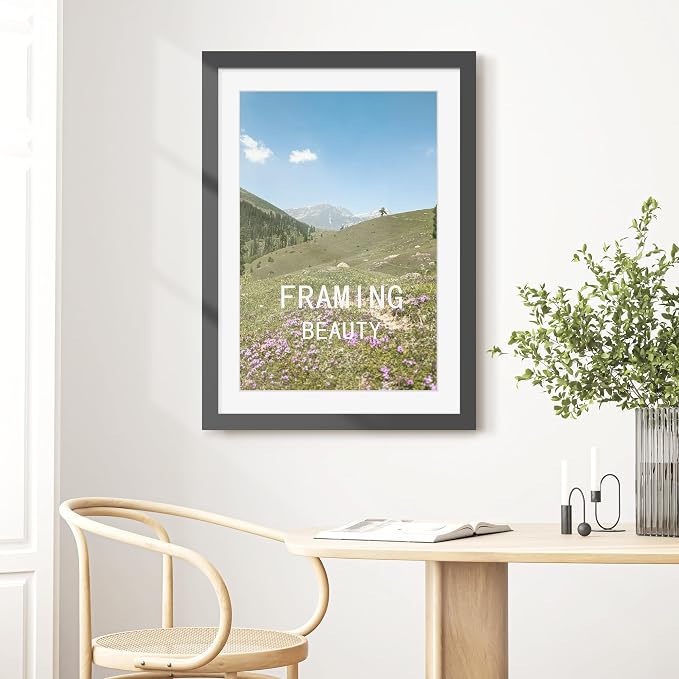 Picrit 24x34 Picture Frame 3 Pack, Black Poster Frame, Display Poster 20 x 30 with Mat or 24 x 34 without Mat for Horizontal or Vertical Wall Mounting