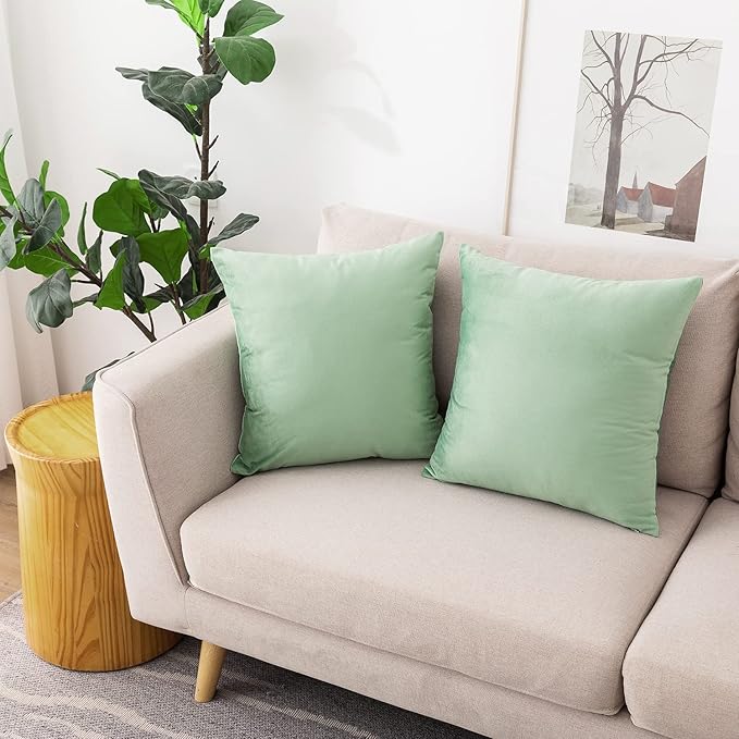NiNi ALL Decorative Throw Pillow Covers Velvet 28x28 Inch Pack of 2 Sage Green Cushion Covers Soft for Couch Sofa Bedroom Living Room Outdoor