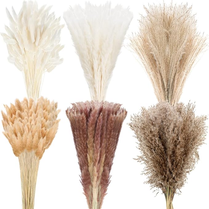 Treela 650 Pcs Dried Pampas Grass Decor Bulk 17" Dried Bunny Tail Fluffy Pompous Pampas Natural Reed Grass Bouquet Wedding Boho Dried Flowers for Home Table Party Decor(Classic)