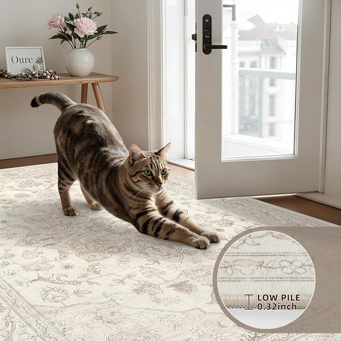 5x7 Area Rugs for Living Room: Vintage Boho Neutral Washable Rug Indoor Soft Large Area Rug Carpet for Bedroom Nursery Farmhouse Dining Room Office Floor Non-Slip Low Pile Under Table Rug Beige White