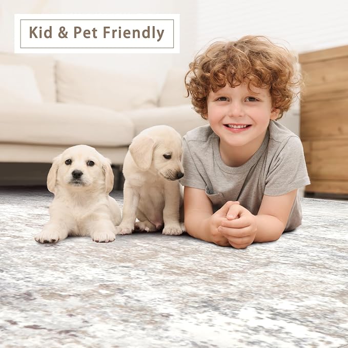 Srugn Washable Rugs 3x5 Area Rugs for Living Room,Bedroom- Non Slip Vintage Entryway Rug for Indoor Entry,Kitchen,Bathroom,Kids Girls Room,Home,Office,Beige Grey