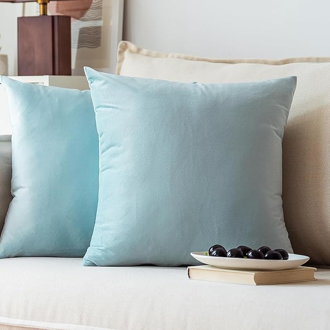 NiNi ALL Decorative Throw Pillow Covers Pack of 2, Velvet Throw Pillow Cases for Couch Pillows Cover Bedroom Living Room Outdoor Pillow Covers 18x18 Inch Baby Blue
