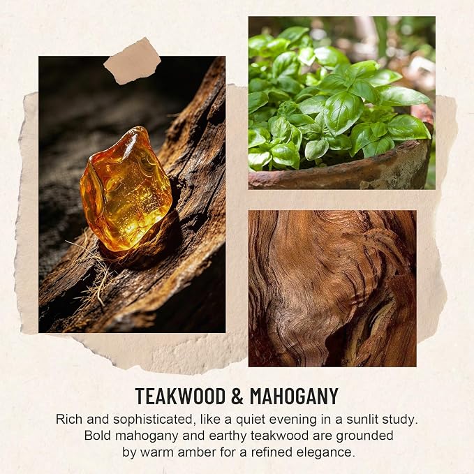 Auelife Reed Diffuser Set, Teakwood & Mahogany 2 Pack 8 Fl Oz Scented Diffuser with Fiber Sticks, Home Fragrance Reed Diffuser for Bathroom Decor, Bedroom, Office & Housewarming Gift