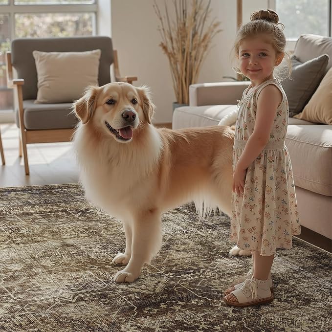 DCX Washable 5x7, Kid & Pet Friendly with Rubber Back Non Slip, Stain Resistant Vintage Rug for Living Room, Bedroom, Home Office, Soft Low Pile Large Farmhouse Distressed Carpet, Brickred