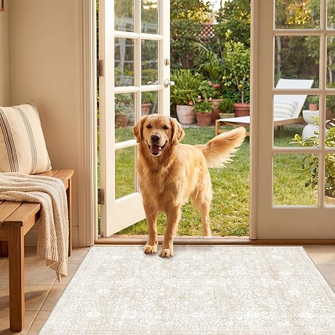 Sasttie 2x3 Rug, Ultra-Soft Washable Rug, Low Pile Foldable Thin Carpets with Non-Slip Backing, Skin-Friendly Stain Resistant Carpet for Living Room, Bedroom, Kitchen, Dorm, 2x3, Cream