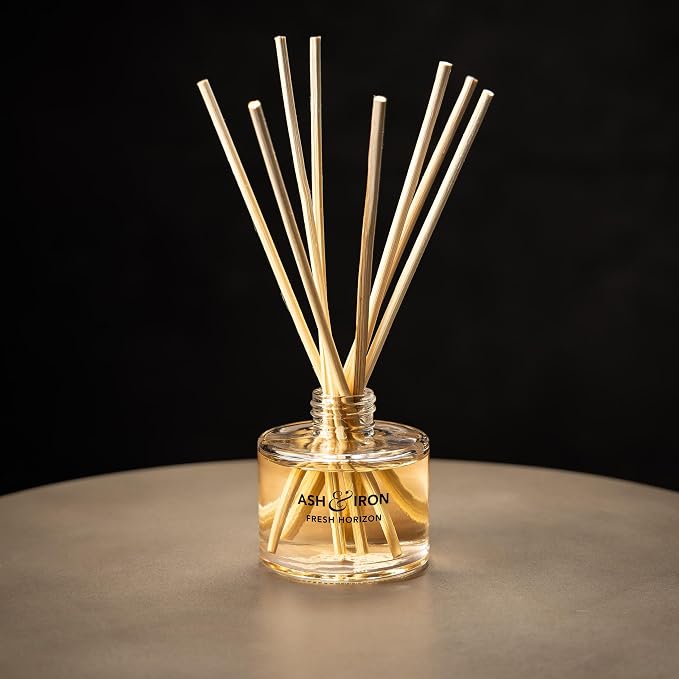 Luxury Reed Diffuser for Home & Bathroom – Ash & Iron Fresh Horizon, Crisp Alpine Air & Cactus Blossom, 125 mL, 4–7 Month Duration