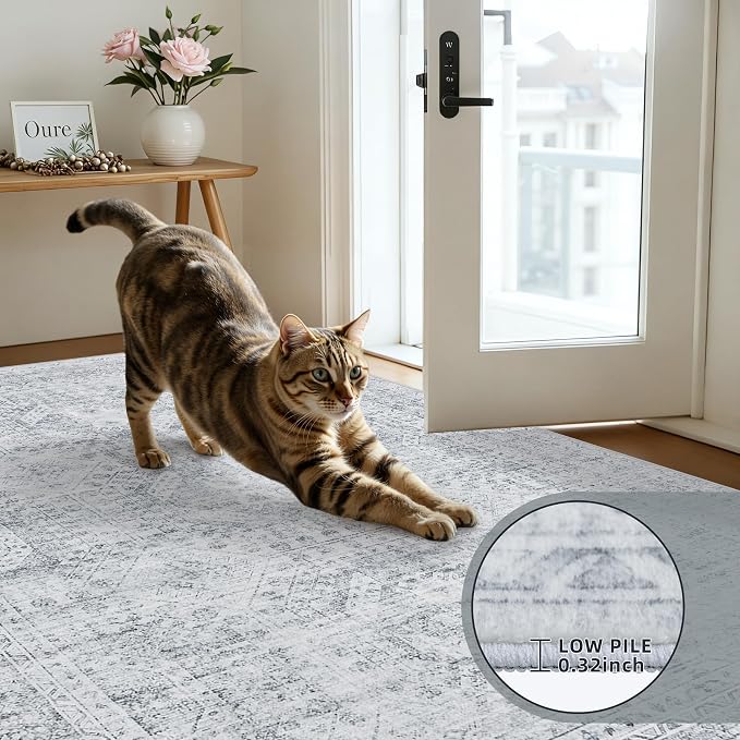 5x7 Area Rugs for Living Room: Vintage Boho Neutral Washable Rug Indoor Soft Large Area Rug Carpet for Bedroom Nursery Farmhouse Dining Room Office Floor Non-Slip Low Pile Under Table Rug Gray