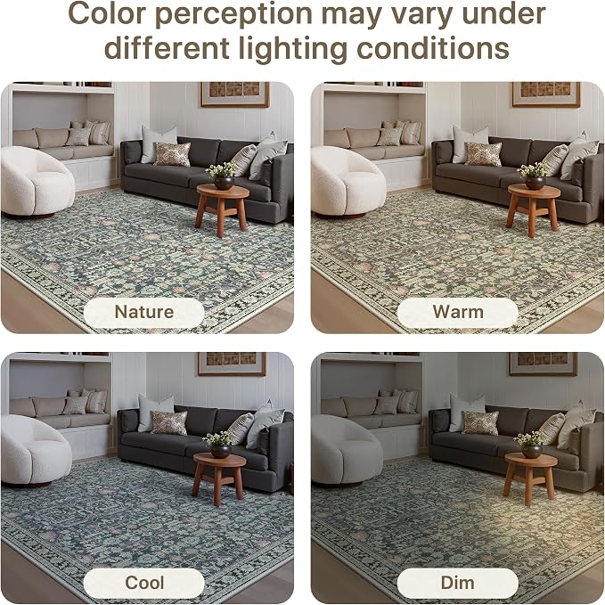 Bavni Area Rugs for Living Room, 5x7 Washable Rug Non-Slip Washable，Ultra-Thin Aesthetic Boho Rug for Bedroom Dinning Room Office,Green/Blue