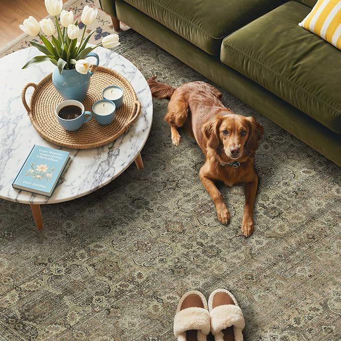 GENIMO 3x5 Area Rugs for Living Room, Machine Washable Non Slip Vintage Rugs, Low Pile Lightweight Chenille Print Rug for Bedroom, Dining Room, Home Office, Green Khaki