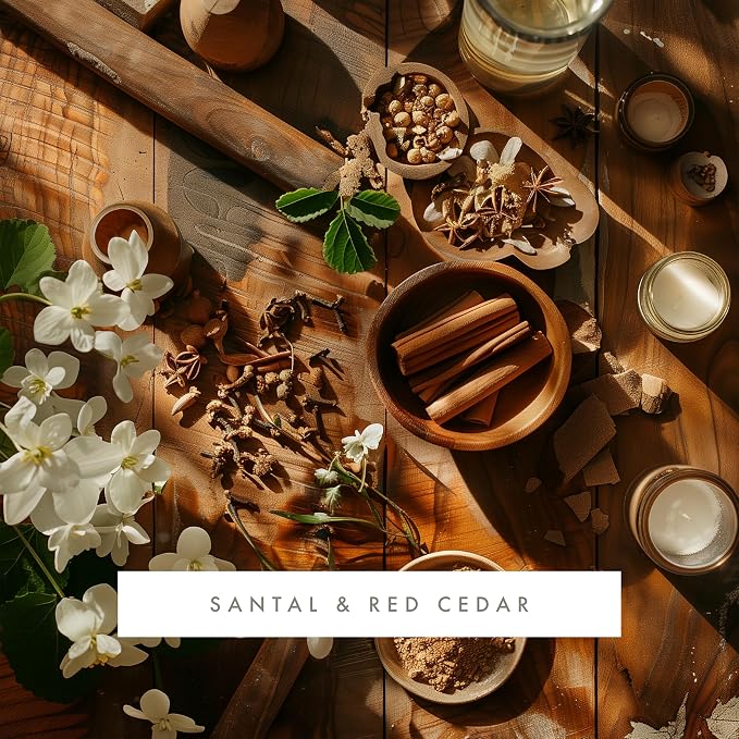 ScentAir Whisper Essential Monthly Plug-in Refill, Santal & Red Cedar | Fragrance Diffuser Cartridge Refill for Home and Office