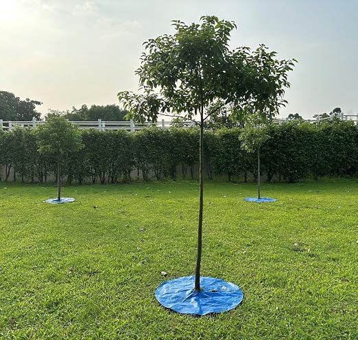 Slow Release Ring-Style Tree Watering Bag - 15 Gallon Watering Ring for Trees, Discipline Essentials (8 Pack, Blue/Yellow)
