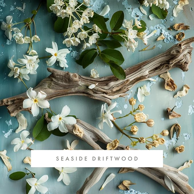 ScentAir Whisper Essential Monthly Plug-in Refill, Seaside Driftwood | Fragrance Diffuser Cartridge Refill for Home and Office