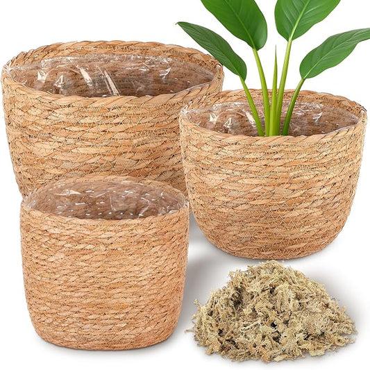 Knitgrip 3 Pack Seagrass Plant Basket Indoor with Artificial Moss 3 Sizes Woven Baskets Flower Pots Planters for Home Decor