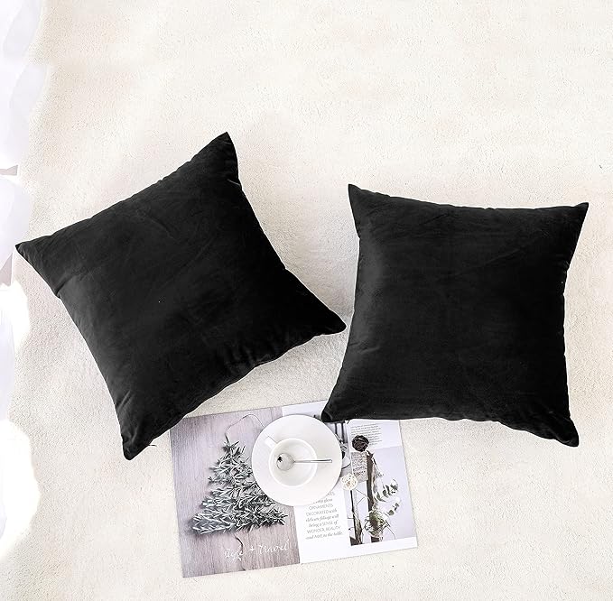 NiNi ALL Decorative Throw Pillow Covers Pack of 2, Velvet Throw Pillow Cases for Couch Pillows Cover Bedroom Living Room Outdoor, Pillow Covers 16x16 Inch, Black