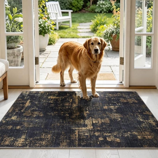 Sasttie 3x5 Area Rug for Entryway, Washable Modern Abstract Small Carpet for Living Room Bedroom Door-mat, Soft Entry Rug with Non-Slip Backing, Black and Gold