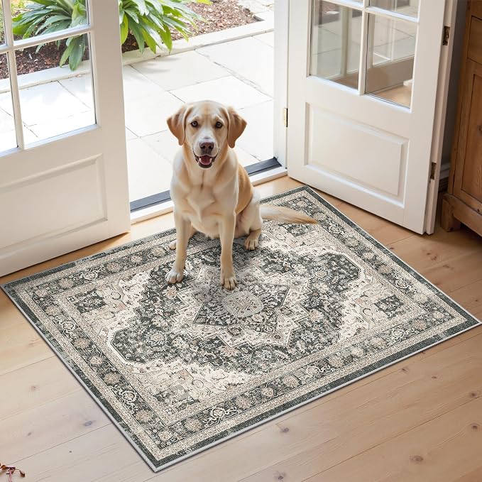Roxstand 2x3 Washable Entryway Area Rug, Black/Beige | Low-Pile Carpet, Non-slip Backing, Stain Resistant, Rug for Kitchen, Laundry Room, Entryway, Vintage Design