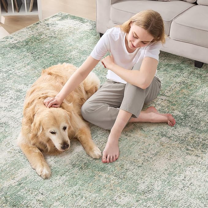 DMOYEST Area Rug Living Room Rugs - 6x9 Washable Large Soft Indoor Neutral Modern Abstract Low Pile Rug Carpet for Bedroom Dining Room Farmhouse Home Office - Green Grey