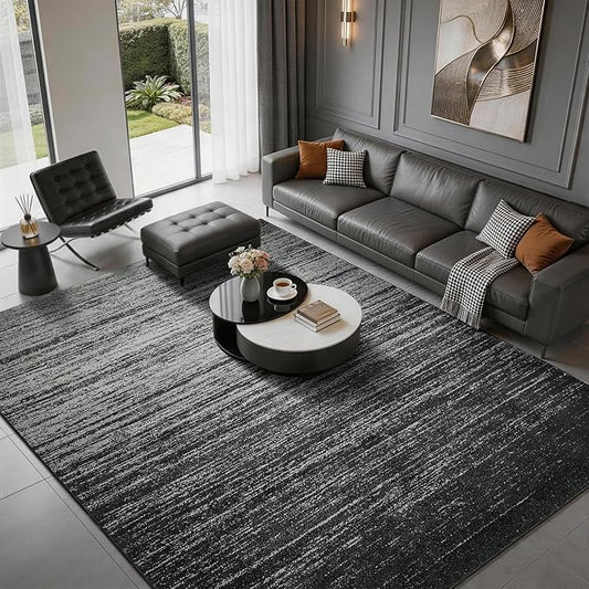LIANLAM 5x7 Silver Infused Self-Cleaning Rug for Living Room (5x7,Black) | NASA-inspired silver infused fabric washable rug,long-lasting surface freshness, low-pile minimalist versatile home decor