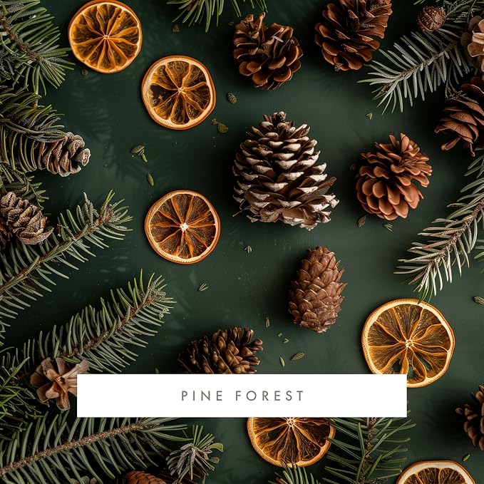 ScentAir Whisper Essential Monthly Plug-in Refill, Pine Forest | Fragrance Diffuser Cartridge Refill for Home and Office