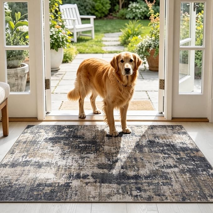 Sasttie 3x5 Area Rug for Entryway, Washable Modern Abstract Small Carpet for Living Room Bedroom Door-mat, Soft Entry Rug with Non-Slip Backing, Black and Beige