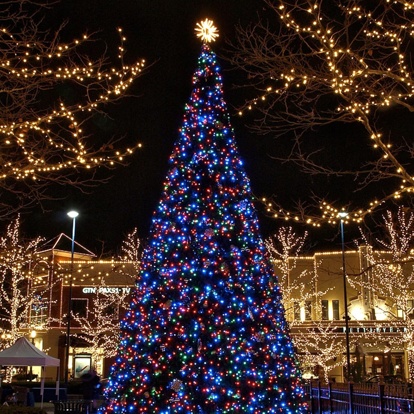 HOME LIGHTING 66ft Christmas Decorative Mini Lights, 200 LED Green Wire Fairy Starry String Lights Plug in, 8 Lighting Modes, for Indoor Outdoor Xmas Tree Wedding Party Decoration (Multicolor)