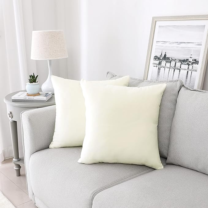 NiNi ALL Decorative Throw Pillow Covers Velvet Soft for Couch Sofa Bedroom Living Roomg Outdoor Pack of 2 20x20 Inch Cream White