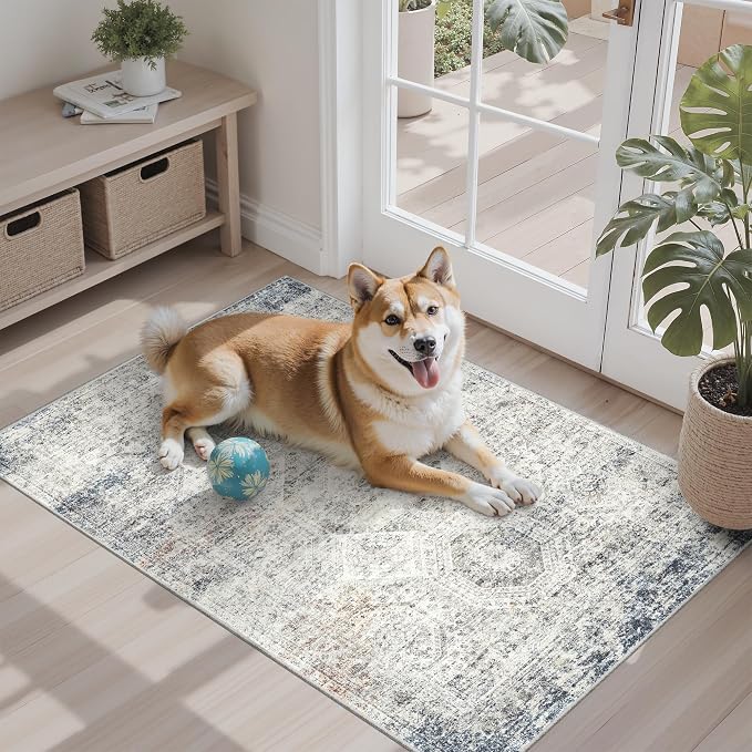 Soalmost 2x3 Washable Rugs for Kitchen, Floor, Entryway, Powder Room Small Area Rug Non-Slip Vintage Low Pile Throw Door Mat Blue Ivory