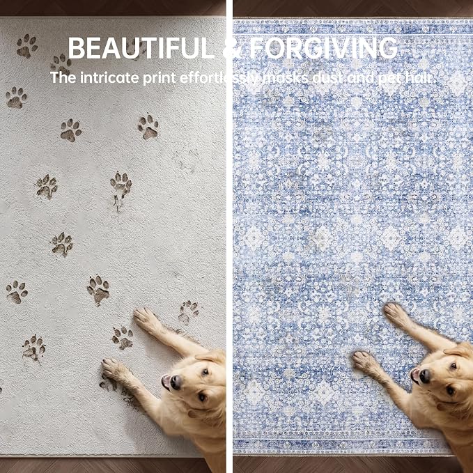 Sasttie 3x5 Rug, Ultra-Soft Washable Rug, Low Pile Foldable Thin Carpets with Non-Slip Backing, Skin-Friendly Stain Resistant Carpet for Living Room, Bedroom, Kitchen, Dorm, 3x5, Light Blue