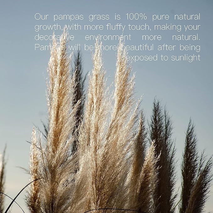 Pampas Grass Decor Tall 46 Inches,16 Stems Tall Pampas Grass for Floor Vase,Large Natural Dried Pompass Grass Branches Tall Fluffy,Boho Decor Pompous Grass No Shedding No Stench,for Home & Wedding