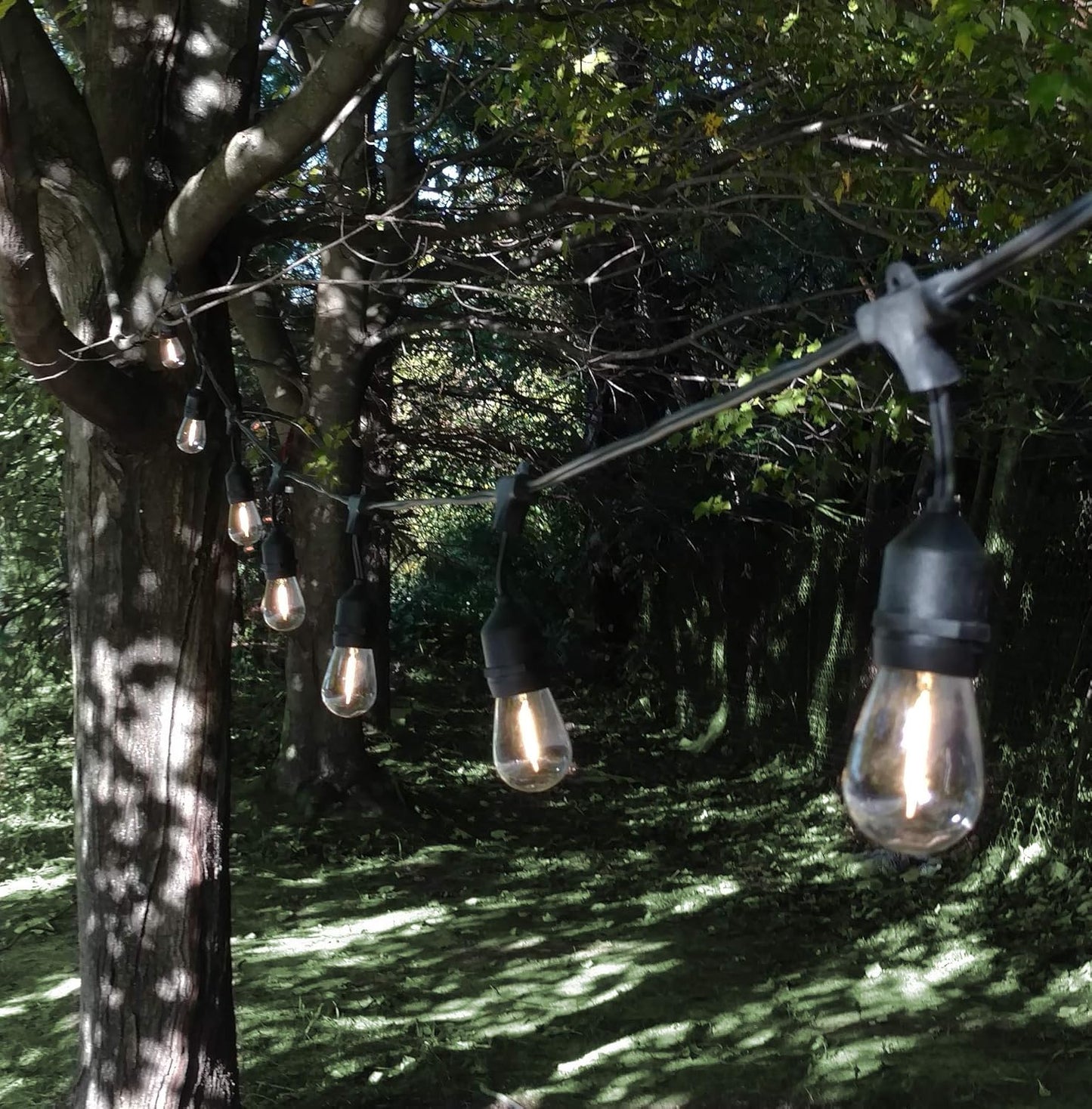 Hometown Evolution, Inc. 24 Foot E26 LED Outdoor Commercial String Lights with 12 Suspended Sockets and S14 LED Filament 1 Watt Bulbs