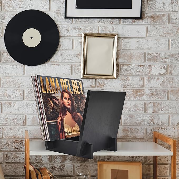 Honygebia Wooden Vinyl Record Holder - Black Solid Oak Wood Record Album Holder, V-Shaped Vinyl Record Storage Racks, Album Holders for Vinyl Records, Shelf for Storing Collection of 40 Premium LPs