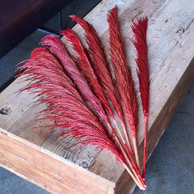 Red Pampas Grass Decor Tall for Floor Vase,Long Dried Pampas Grass, Large Pompas Floral, Elegant Feather Flowers for Wedding Decorations, Living Room Decor (Natural Red, 4pcs 43.3"(110cm))