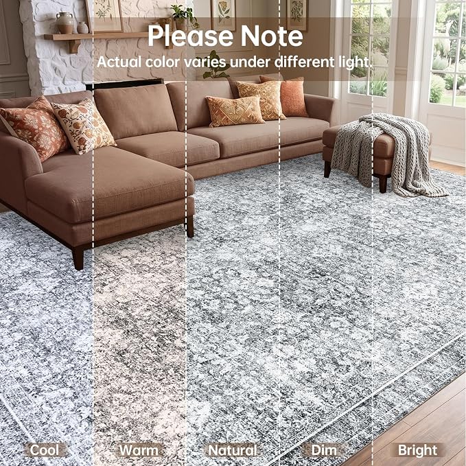 Sasttie 2x3 Rug, Ultra-Soft Washable Rug, Low Pile Foldable Thin Carpets with Non-Slip Backing, Skin-Friendly Stain Resistant Carpet for Living Room, Bedroom, Kitchen, Dorm, 2x3, Light Grey