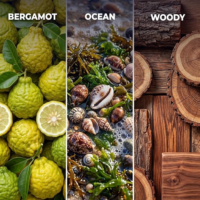 Inspired by 5-Star Hotel Rio de Janeiro RJ03 Hotel Scent Diffuser Oil | 10.14 Floz (300ml) - Waterless Diffuser Oil Refill & Highly Concentrated Fragrance Oil, Diffuser Oil Scents, Hotel Oil Diffuser