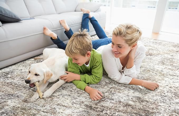 LOVORAL Area Rugs for Living Room: 6x9 Washable Neutral Abstract Rug for Bedroom Large Soft Modern Dining Room Rugs Indoor Floor Low Pile Carpet for Home Office Nursery - Brown Grey