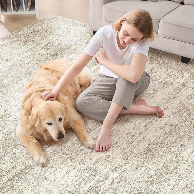 DMOYEST Area Rug Living Room Rugs - 5x7 Abstract Large Soft Indoor Washable Rug Neutral Modern Low Pile Carpet for Bedroom Dining Room Farmhouse Home Office - Vintage Beige