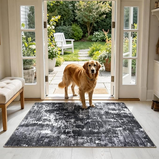Sasttie 3x5 Area Rug for Entryway, Washable Modern Abstract Small Carpet for Living Room Bedroom Door-mat, Soft Entry Rug with Non-Slip Backing, Black and White